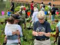 2024 plant sale   2024 plant sale