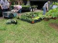 2024 plant sale   2024 plant sale