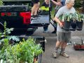 2024 plant sale   2024 plant sale
