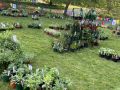 2024 plant sale   2024 plant sale