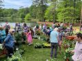 2024 plant sale   2024 plant sale