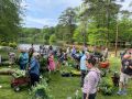2024 plant sale   2024 plant sale