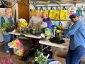 2024 plant sale   2024 plant sale